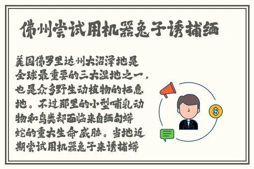 激战后厨1至5集